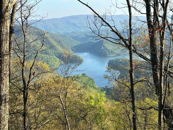 Watauga Lake 