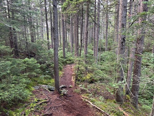 hiking maine