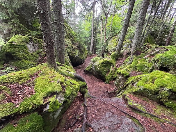 hiking appalachian trail