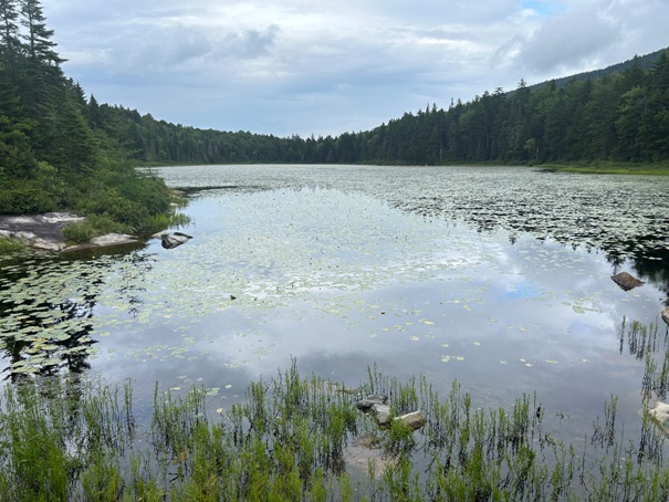 Page Pond