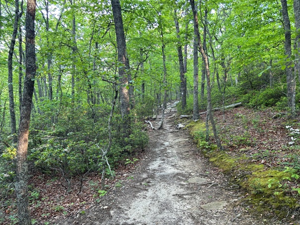 McAfee Knob trail