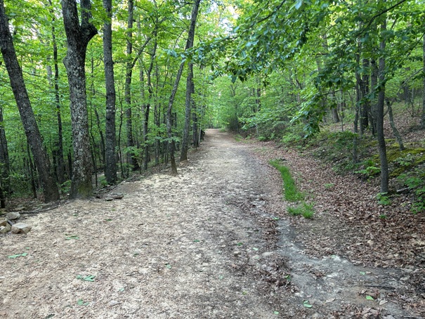 McAfee Knob trail