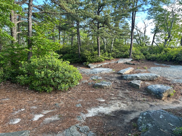 McAfee Knob