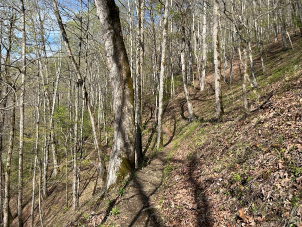 appalachian trail