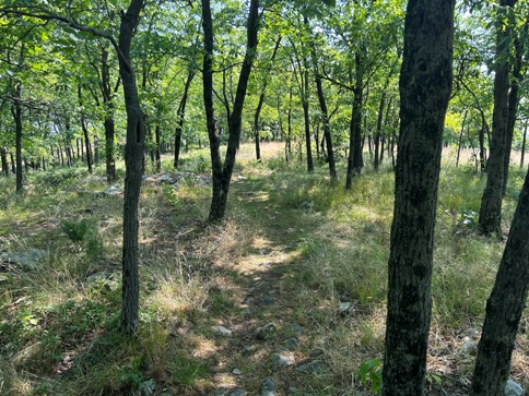 appalachian trail