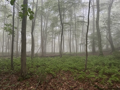 appalachian trail