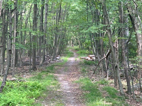 appalachian trail