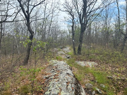 appalachian trail