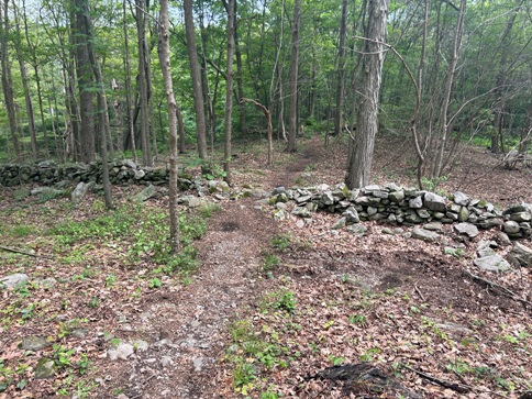 appalachian trail