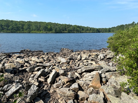 Sunfish Pond 