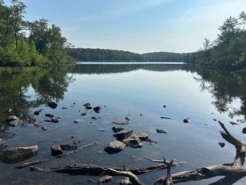 Sunfish Pond 