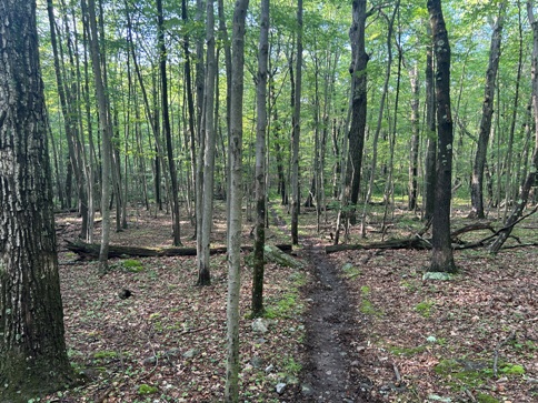 appalachian trail