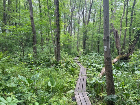 appalachian trail