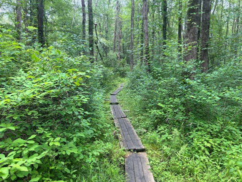 appalachian trail