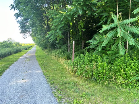 Wallkill River National Wildlife Refuge