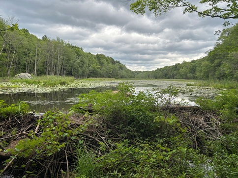 Kazmar Pond