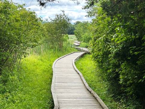 Pochuck Boardwalk