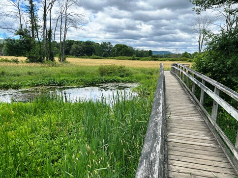 Pochuck Boardwalk