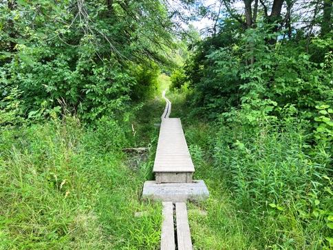 boardwalk