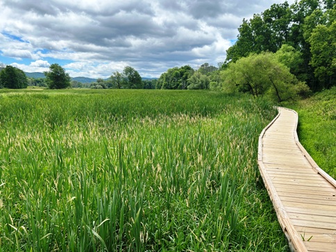 Pochuck Boardwalk