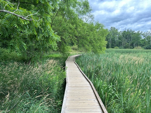 Pochuck Boardwalk