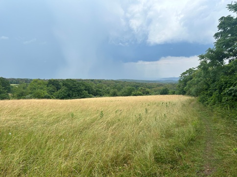 thunderstorm