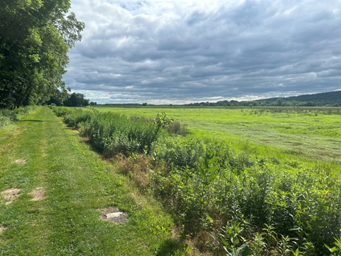 Wallkill River National Wildlife Refuge