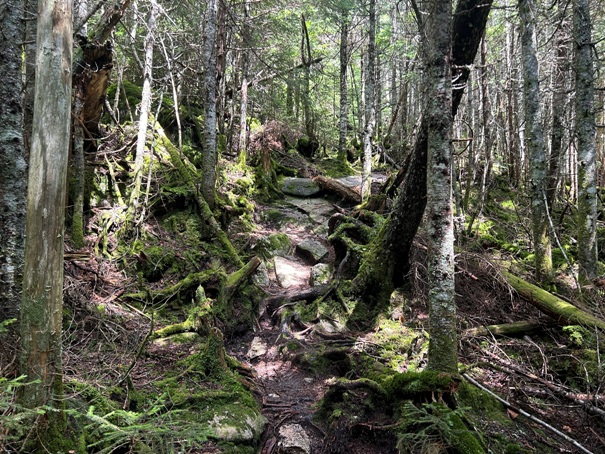 appalachian trail