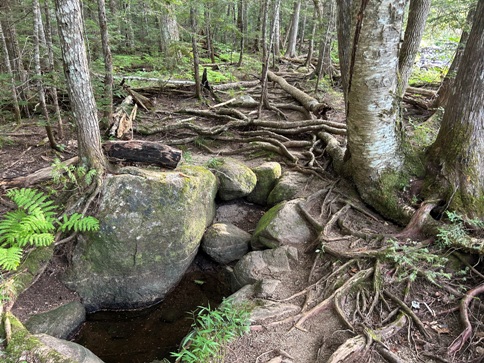 Appalachian Trail