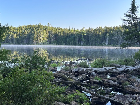 Mountain View Pond