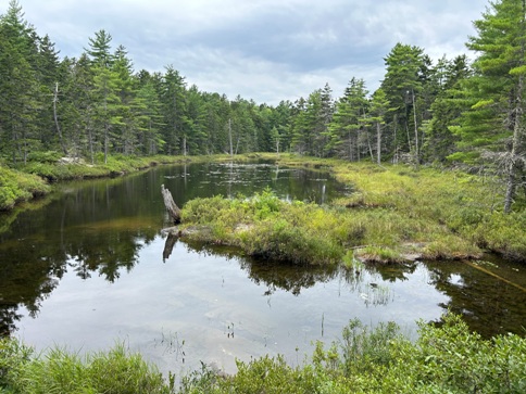 North Pond Brook