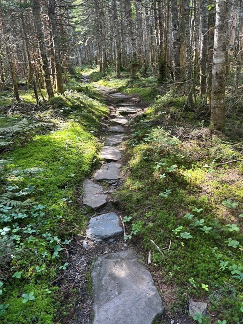 stepping stones