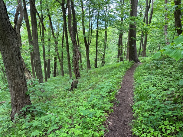 Appalachian Trail 