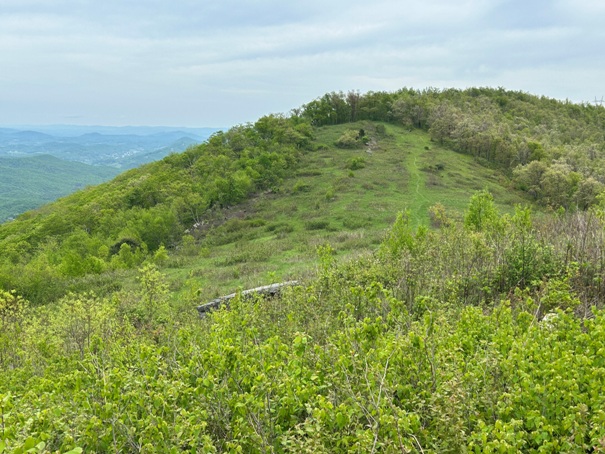 Peters Mountain