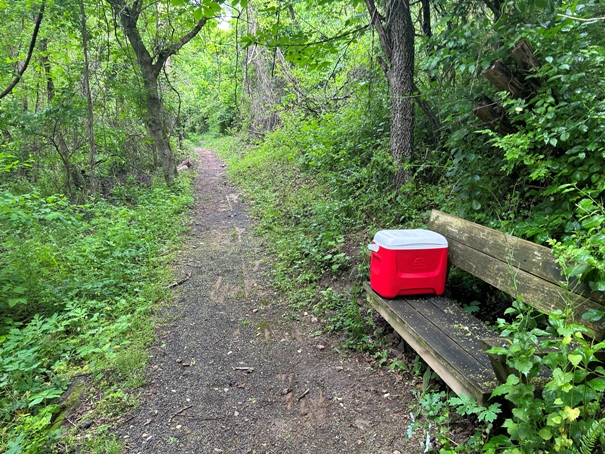 Pearis Cemetery Trail