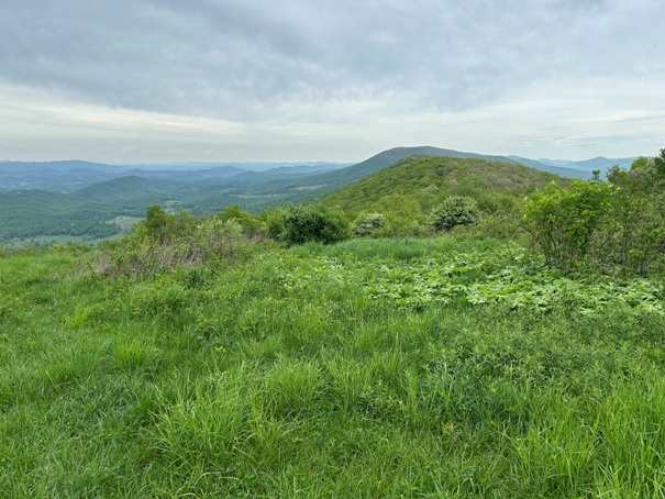 Symms Gap Peak