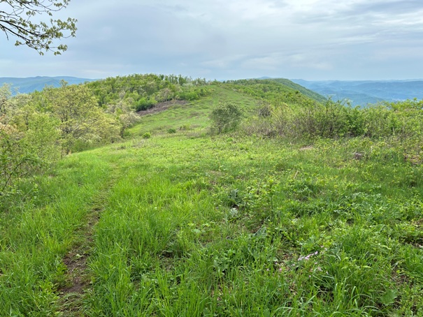 Peters Mountain