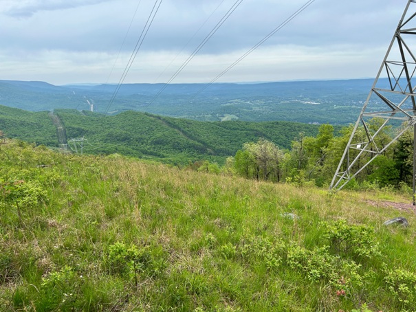 Peters Mountain