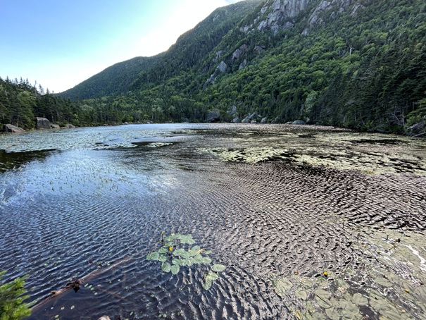 Carter Notch 