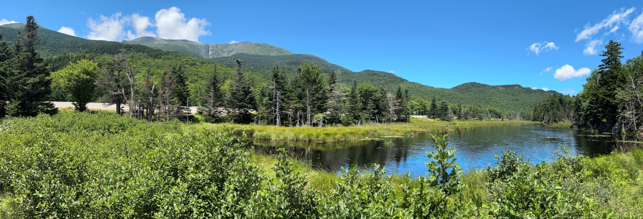 Pinkham Notch