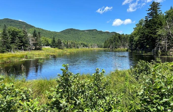 Pinkham Notch