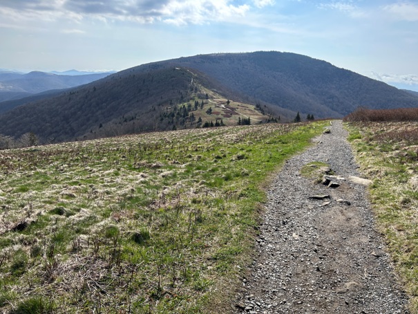 Grassy Ridge Bald