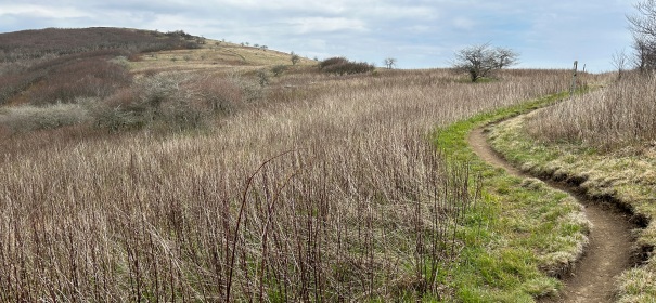 roan highlands