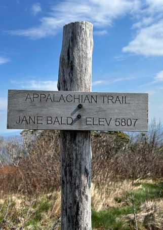 Jane Bald