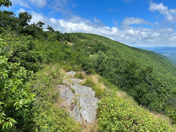 mount race ledges