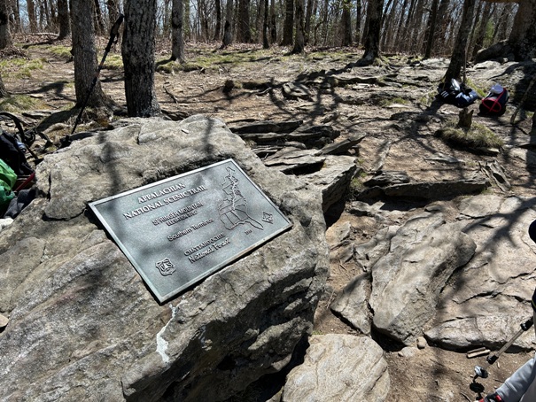 Springer Mountain 