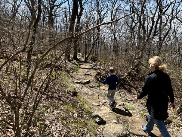 Springer Mountain 