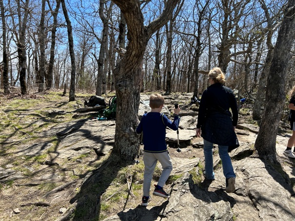 Springer Mountain 