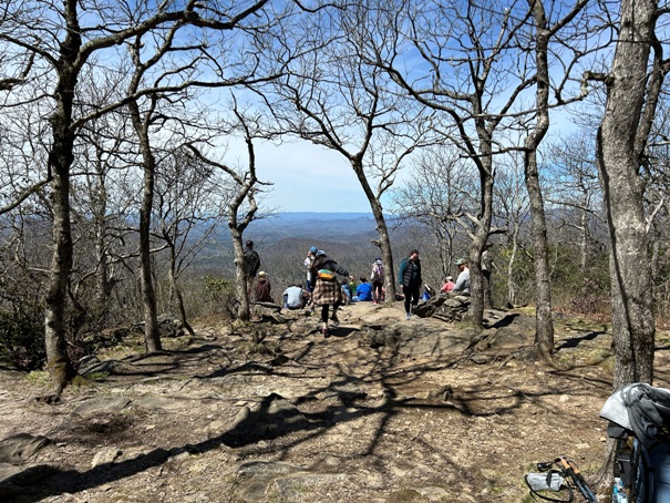 Springer Mountain 