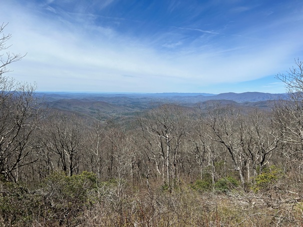 Springer Mountain 